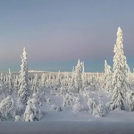 Charming Family In Trysil