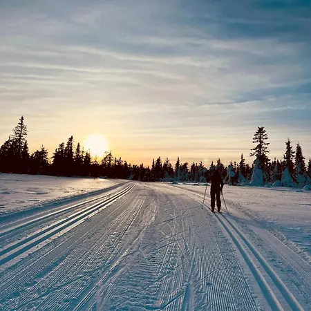 Charming Family In * Trysil