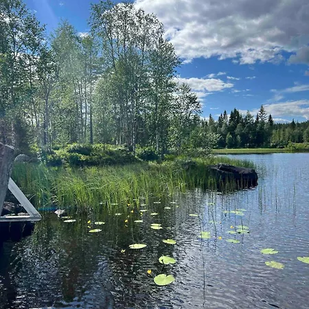 Charming Family In * Trysil