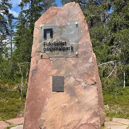 Charming Family In Ferienhaus *