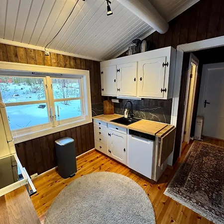 Charming Family In Ferienhaus Trysil