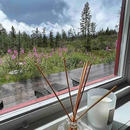 Charming Family In *