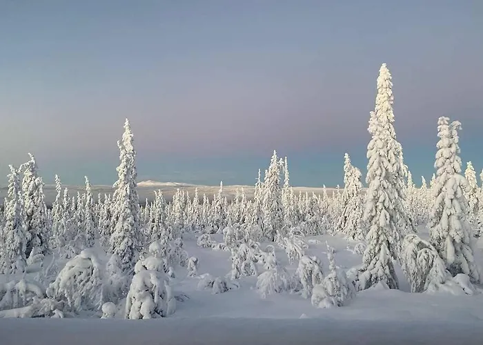 Charming Family In Trysil
