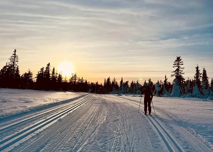Charming Family In * Trysil