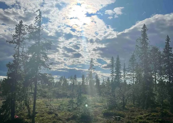 Charming Family In Vakantiehuis Trysil