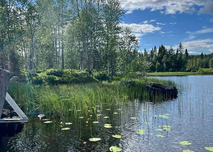 Charming Family In * Trysil