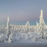 Charming Family In Trysil